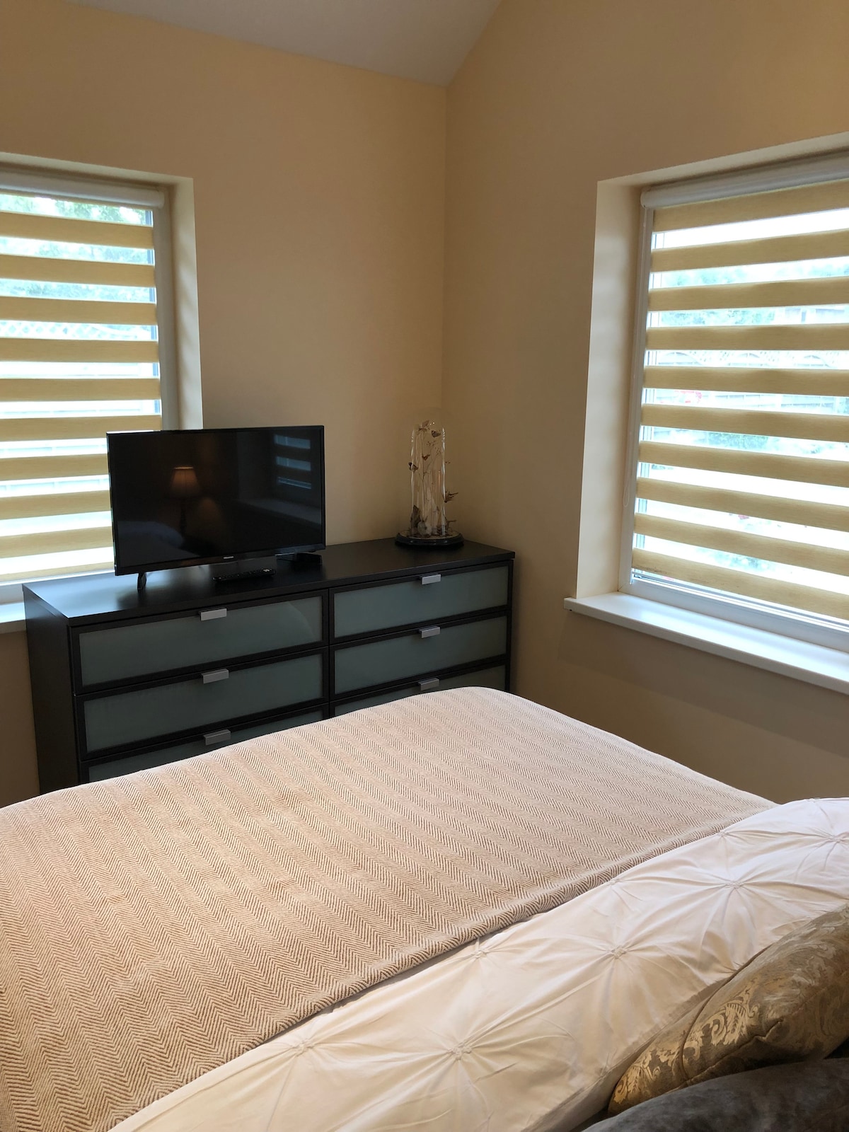 The bedroom features a spacious bed with a light-colored blanket, flanked by two windows covered with blinds. A dark storage unit stands nearby, topped with a decorative object. A small television is positioned on the dresser, enhancing the room's functionality.