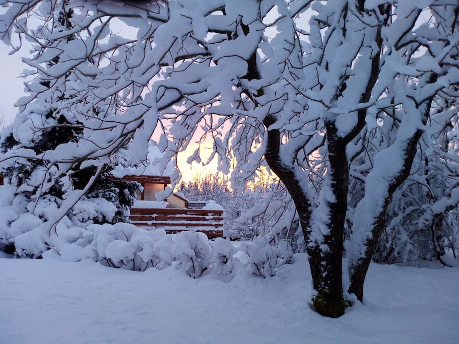 29.January Today it was like peaking into a fairytale of wonders. Everything covered with soft white snow, the trees were bending for the snow queen, everything silence except for the singing of the small birds and then the sun slowly came up, spreading its light over this beautiful landscape.