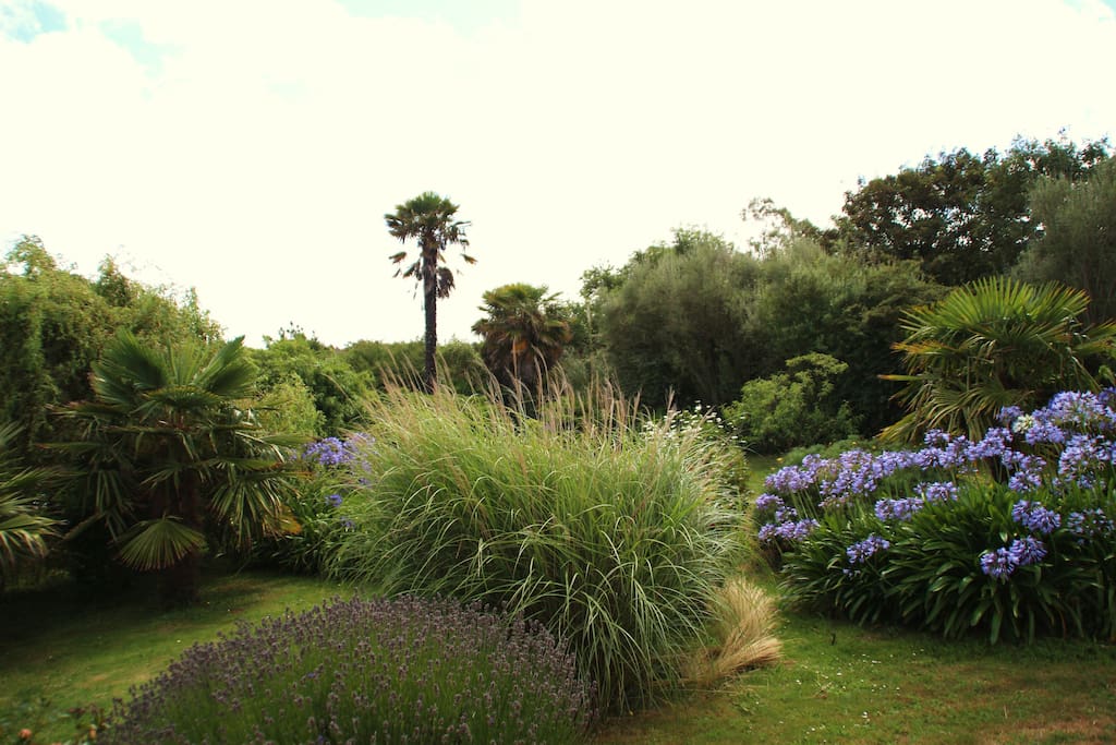 Jardin