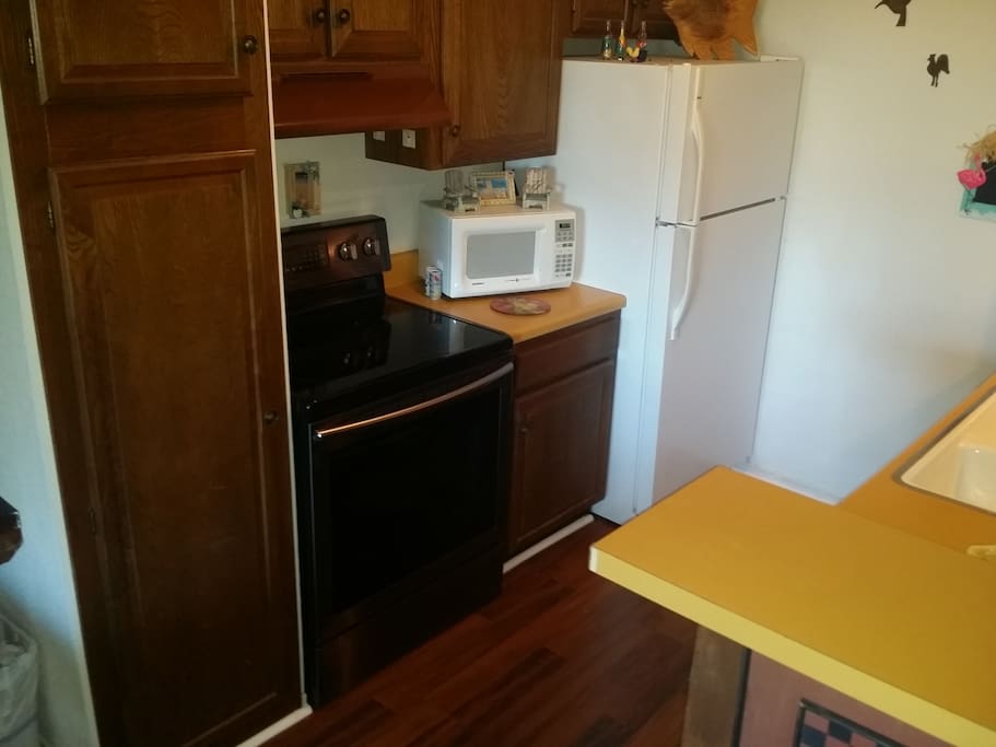 Modern appliances including dishwasher, microwave, full size fridge.