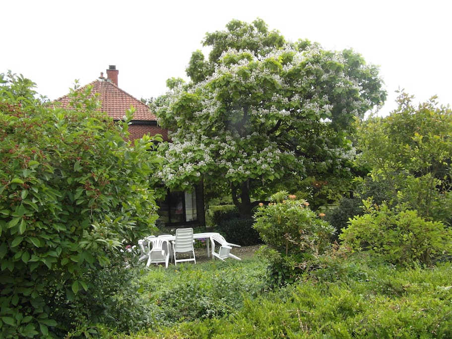 De tuin