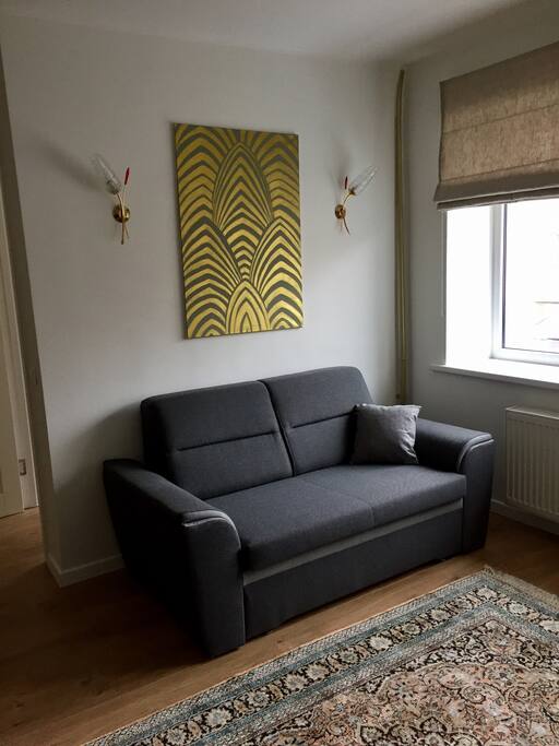 two seat sofa and adjustable bed