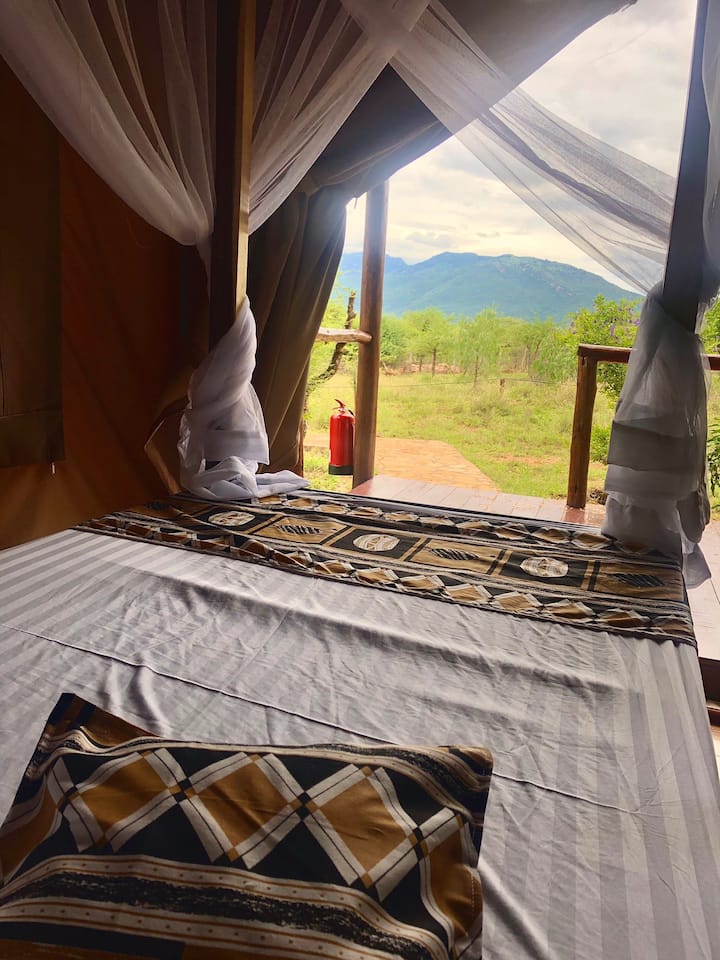 Wake up to a perfect uninterrupted view of the mountain 