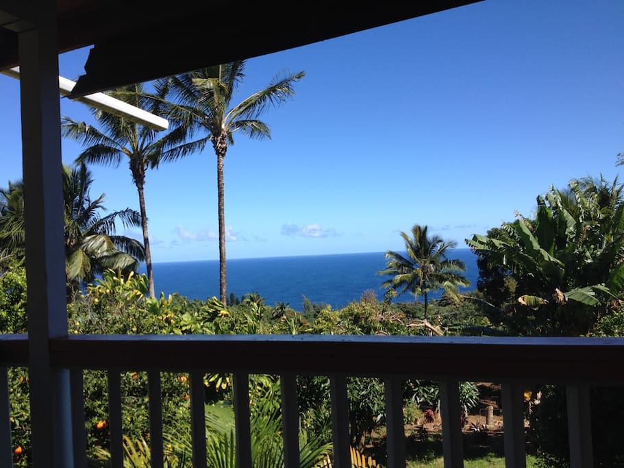 The view from the lanai.