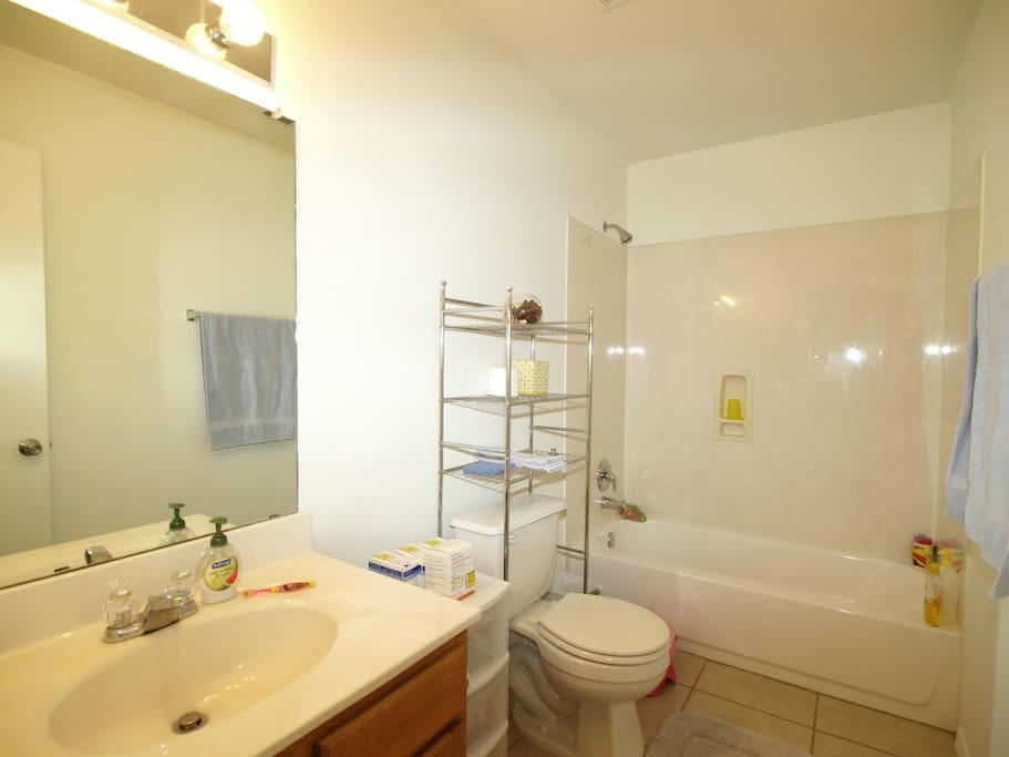 Guest bathroom