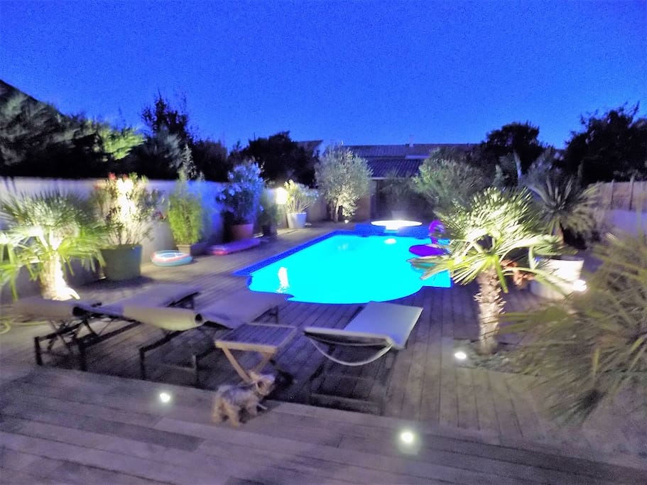 piscine de nuit éclairée