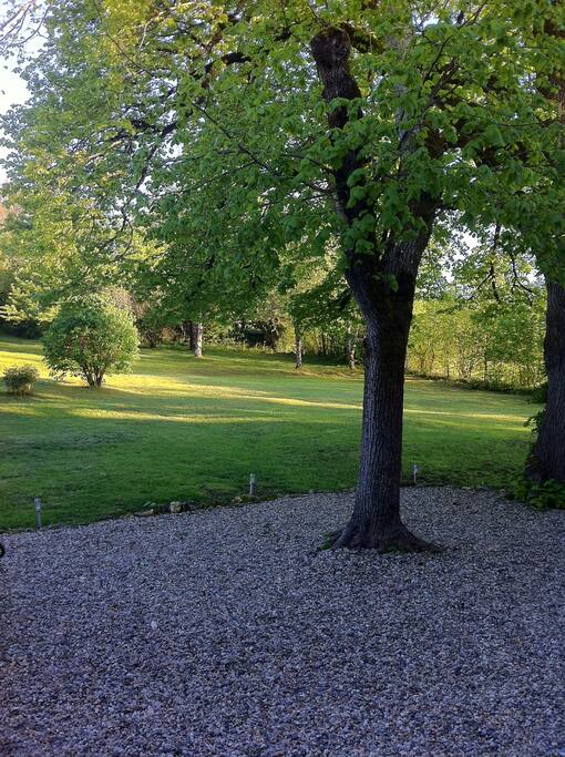 Voici la vue que vous pourrez admirer de la chambre