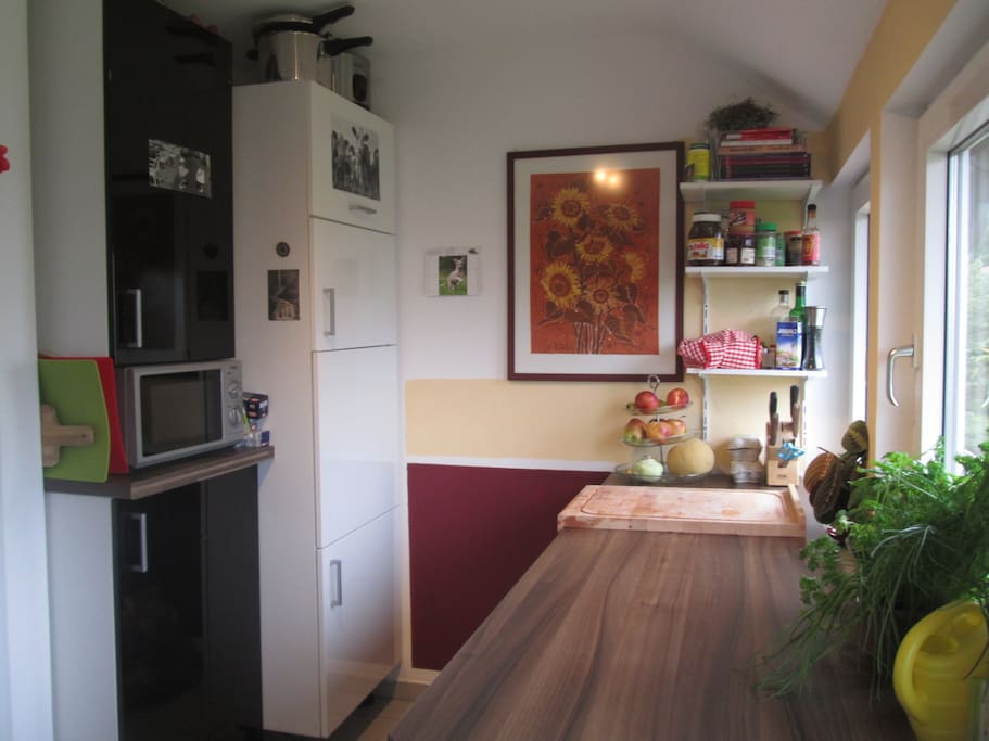 Kitchen (Fridge, freezer, microwave, everything you need)