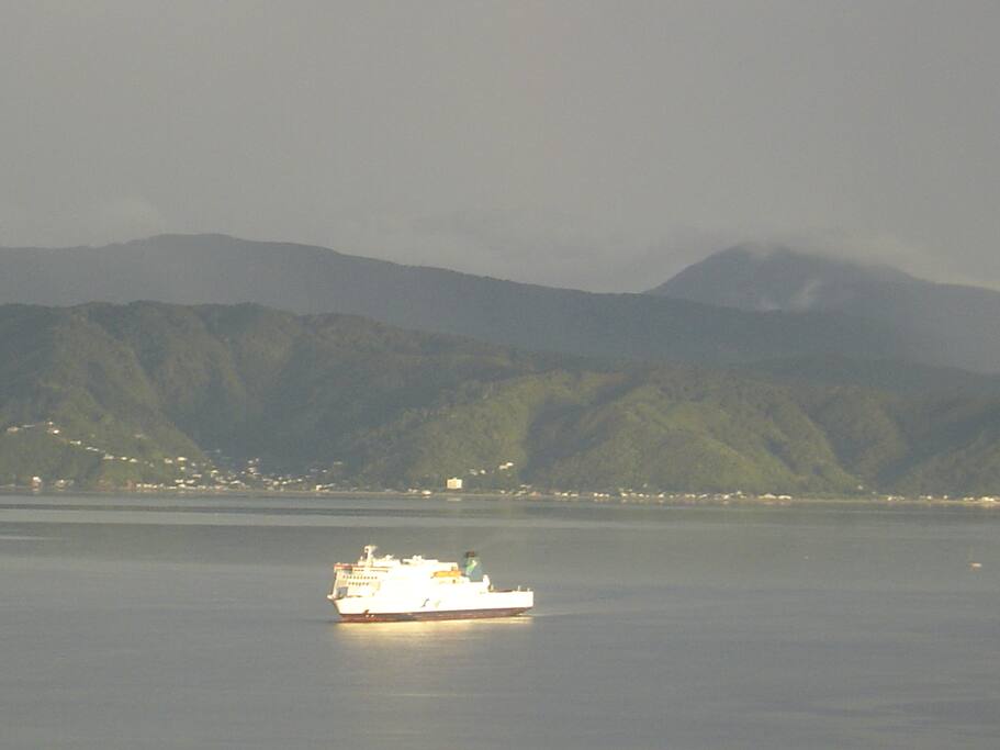 ...watch the sea, sky and light constantly change. See the sunlight reflecting off the interislander ferry...