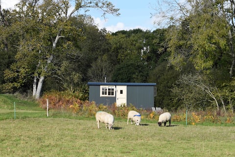 Gloriously secluded shepherds hut close to Lewes