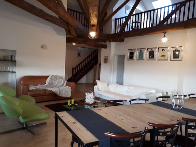 LOFT STANDING Futuroscope 30 min 170 m2 15 pers