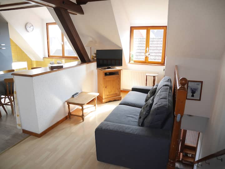 Gite La Cigogne 6pers Près De Kaysersberg 90m2 - Kaysersberg