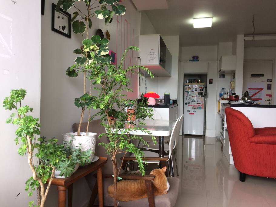 sala&cozinha com ilha