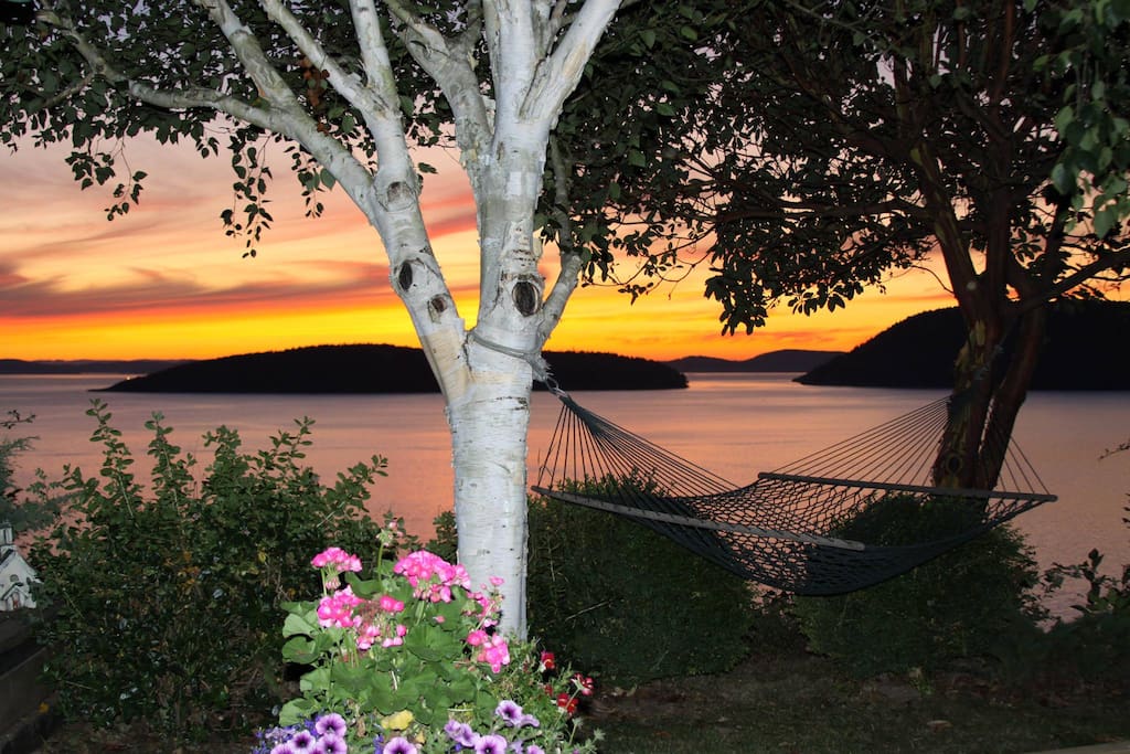 The hammock and view from the patio.