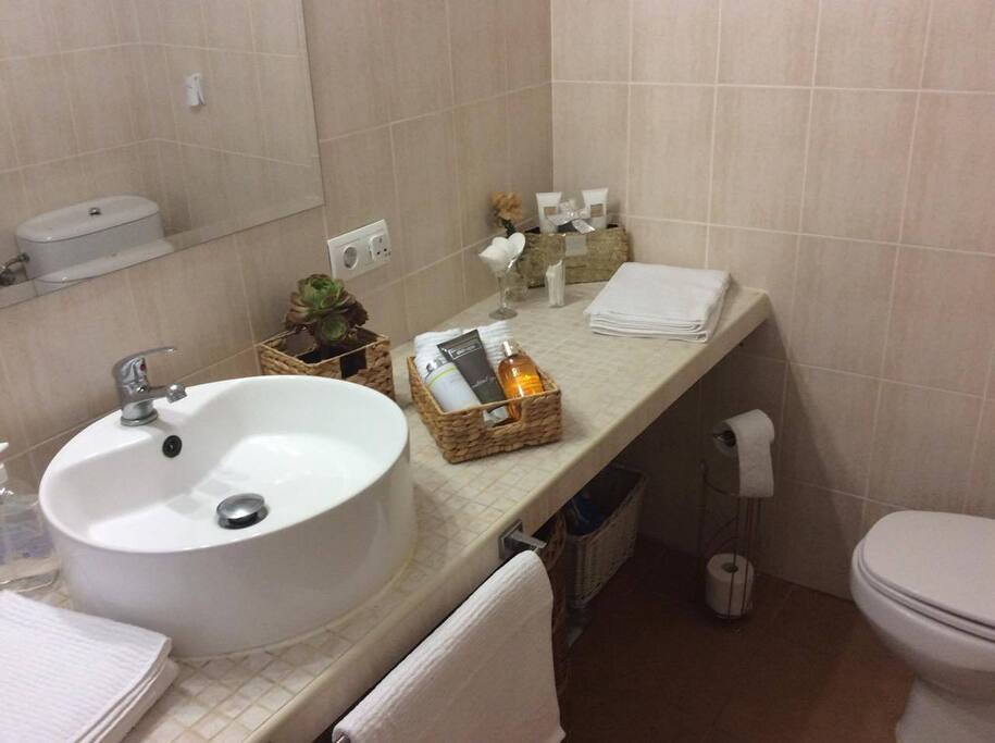Toilet and shower Room.