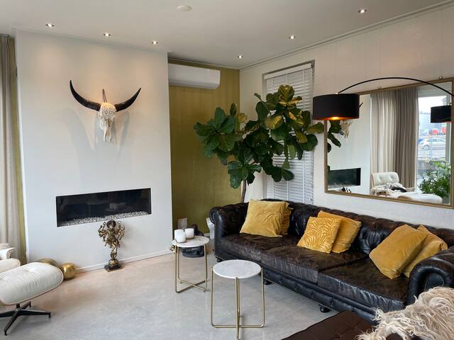 Modern stylish villa: My Amsterdam Houseboat gallery image 2