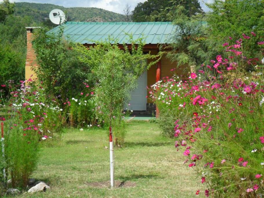 Cabaña
