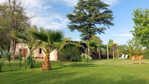 Casa 