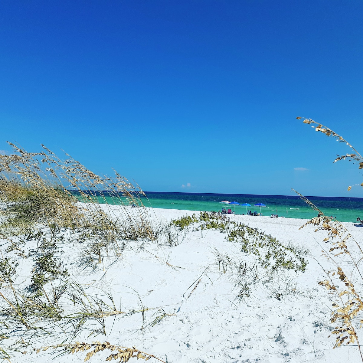 A stretch of sandy beach is framed by swaying grass and colorful umbrellas dot the shoreline. The vibrant blue sky meets the turquoise waters, creating a serene coastal view. Soft white sand leads to gently lapping waves in the distance.
