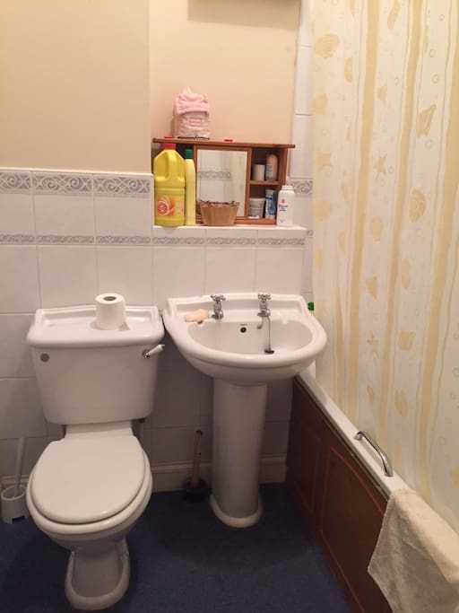 Shared Bathroom and Toilet