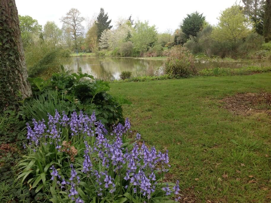 Promenade au printemps