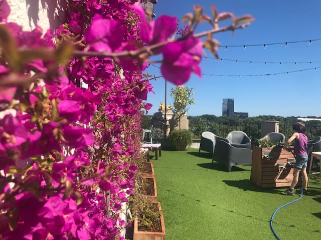 LOST GARDEN – Large living room, Special views