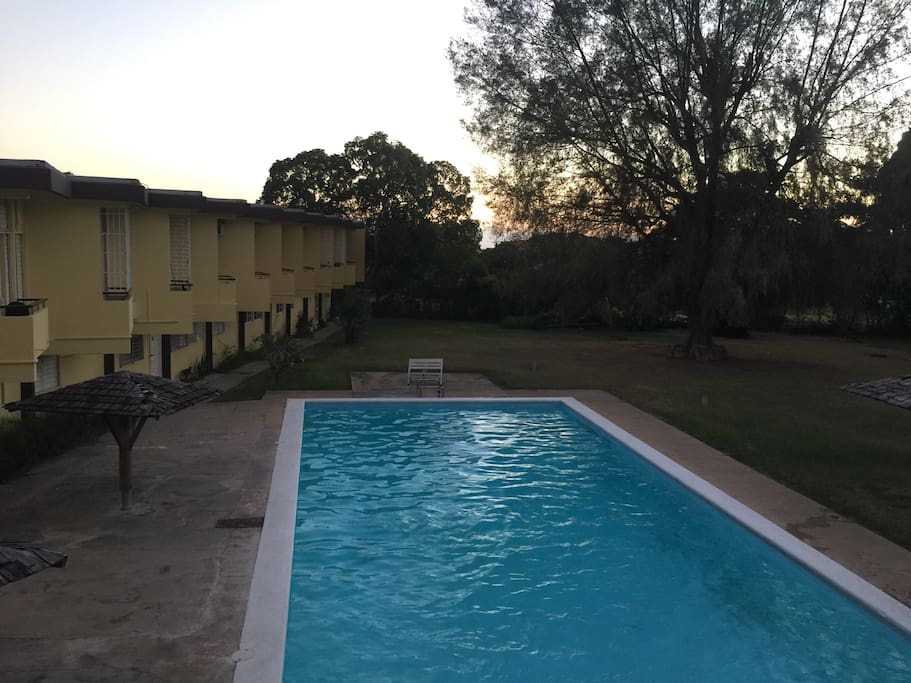 View of the magnificent pool