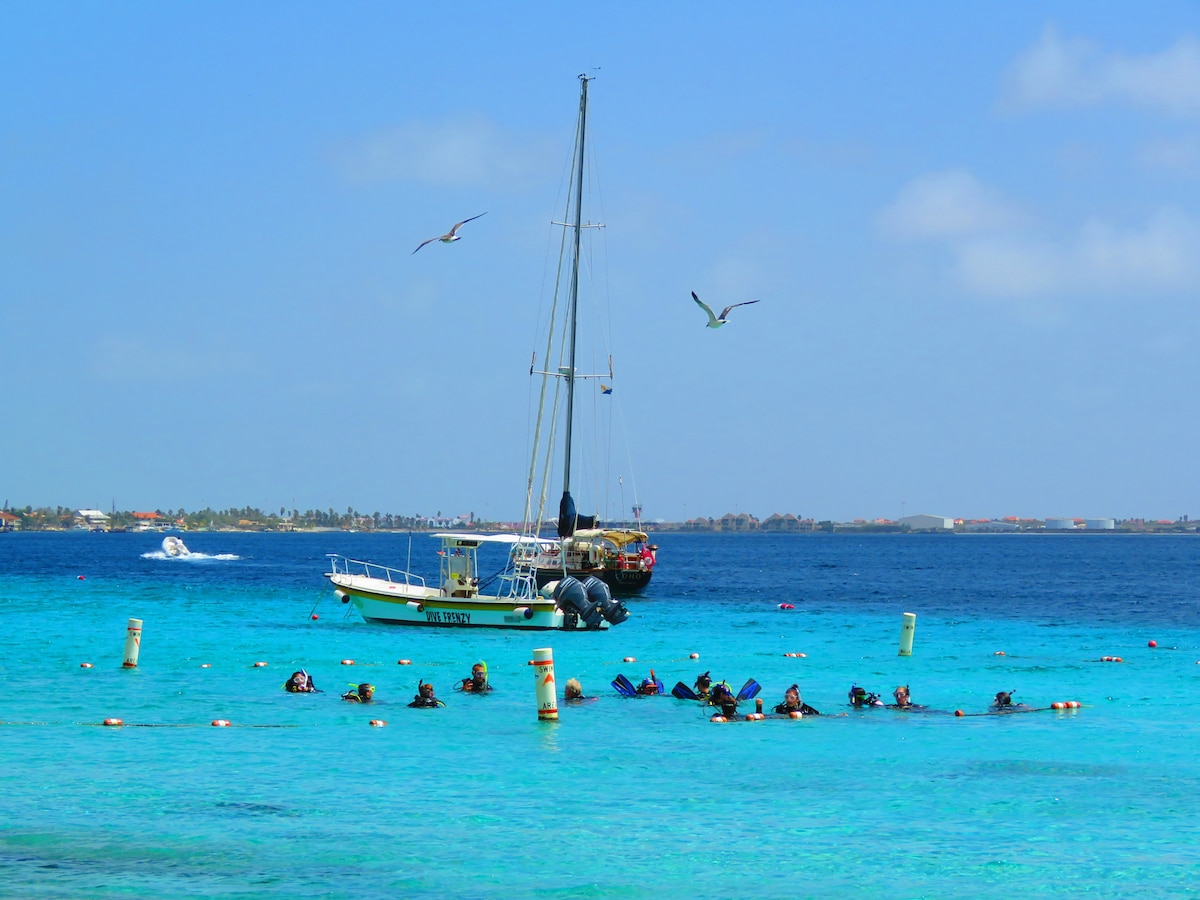 A serene scene depicts a sailboat anchored in shallow turquoise waters, with divers exploring beneath the surface. The clear sky is complemented by a few fluffy clouds, while seagulls glide above, adding to the tranquil coastal atmosphere.