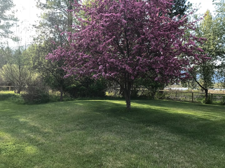 10 Best Airbnb Vacation Rentals In Stevensville, Montana Updated 2024