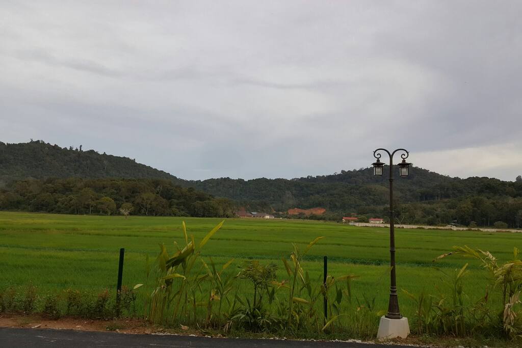 PADDY FIELD VIEW AROUNT ANJUNG VILLA