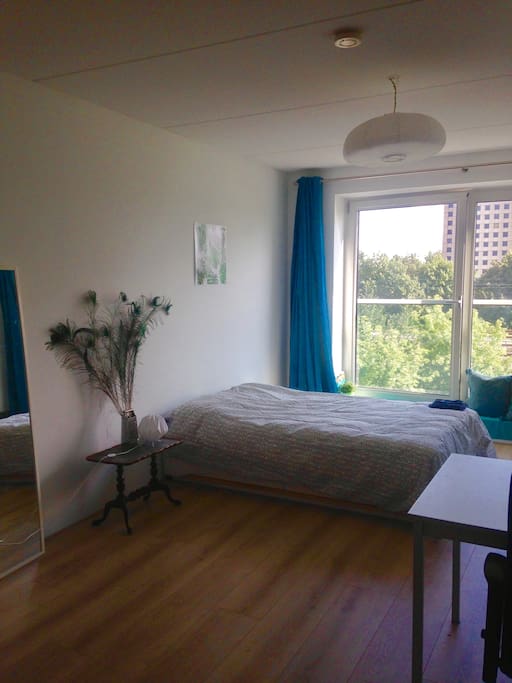 The bed and the window