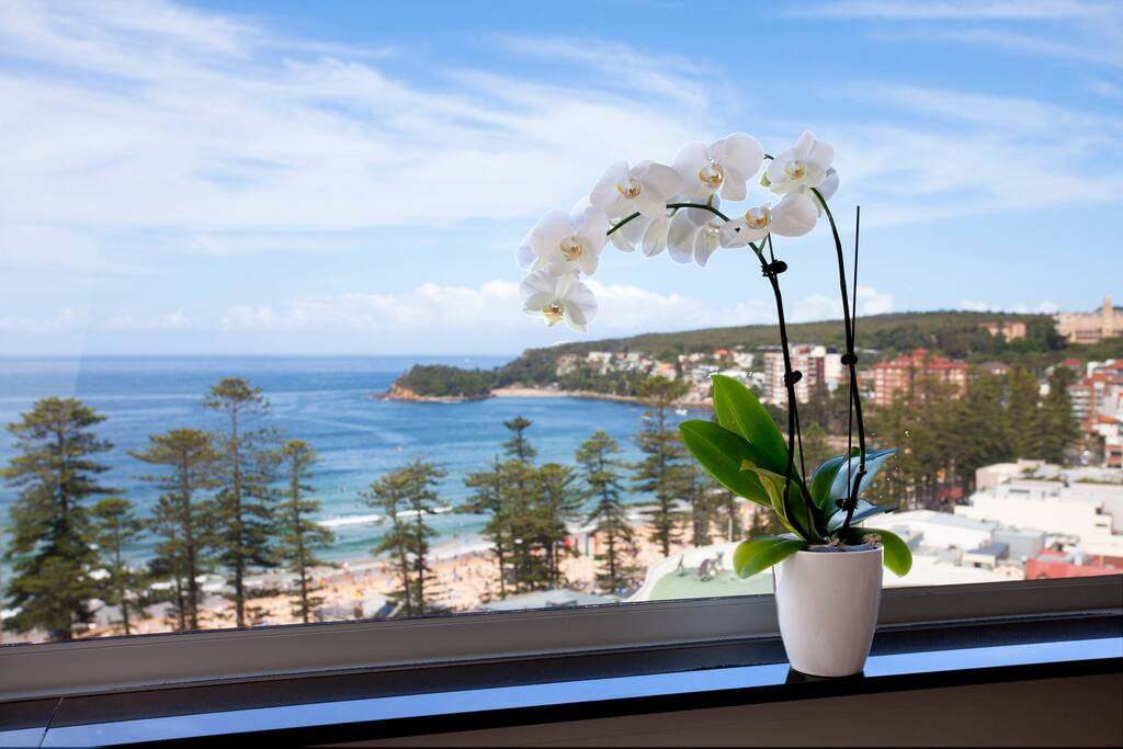 Between late May and early November while enjoying the views from the apartment, there is a good chance you will spot some of the migrating humpback or southern right whales frolicking in the sunshine.