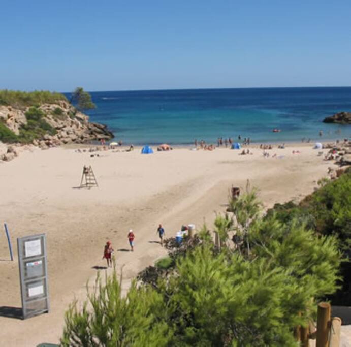 Direct acces to the beach