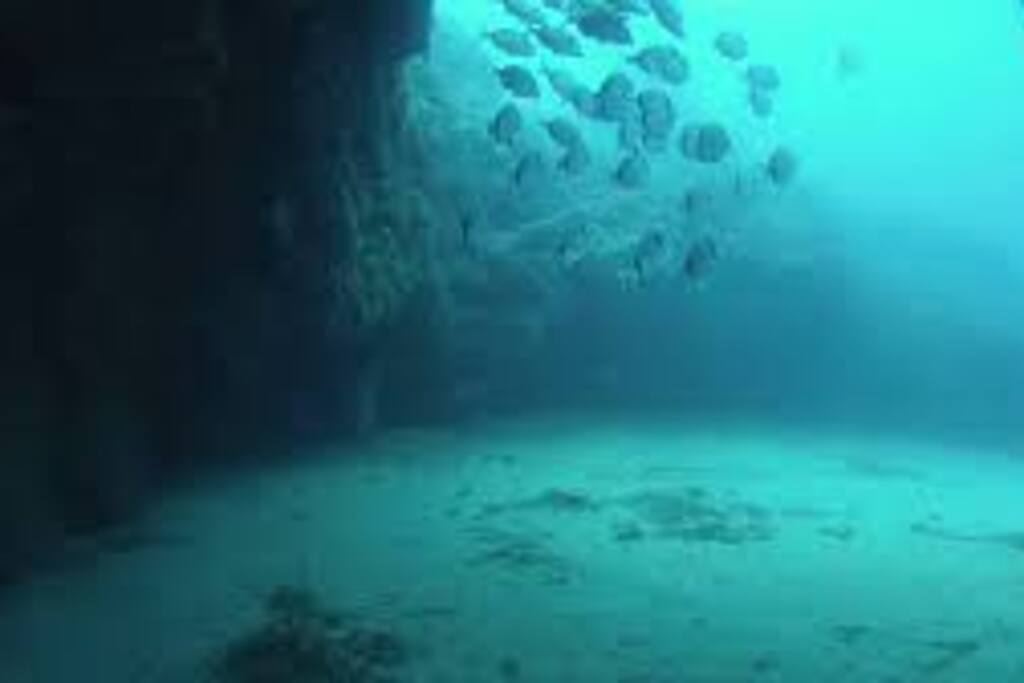 Fondos marinos de la Isla de San Andrés