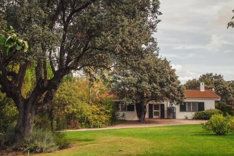 Cottage with garden near Madrid