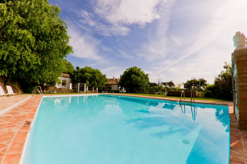 Piscina salina