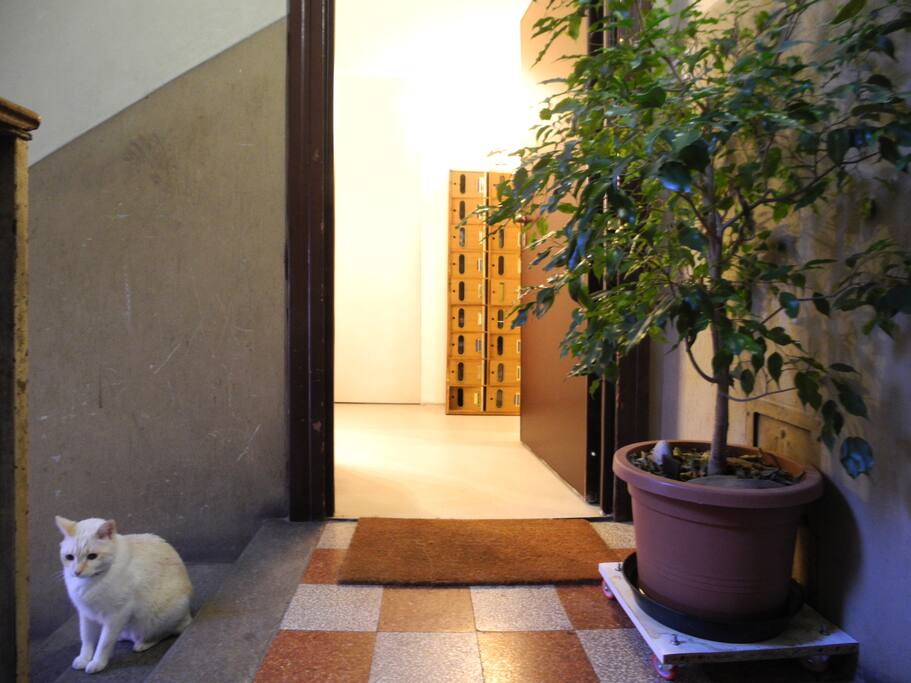 the entrance