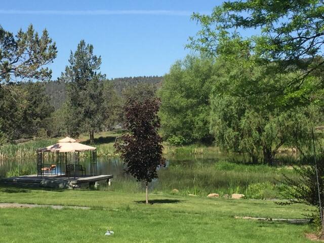 30/50 Amp RV Site on Private Farm: Site 3