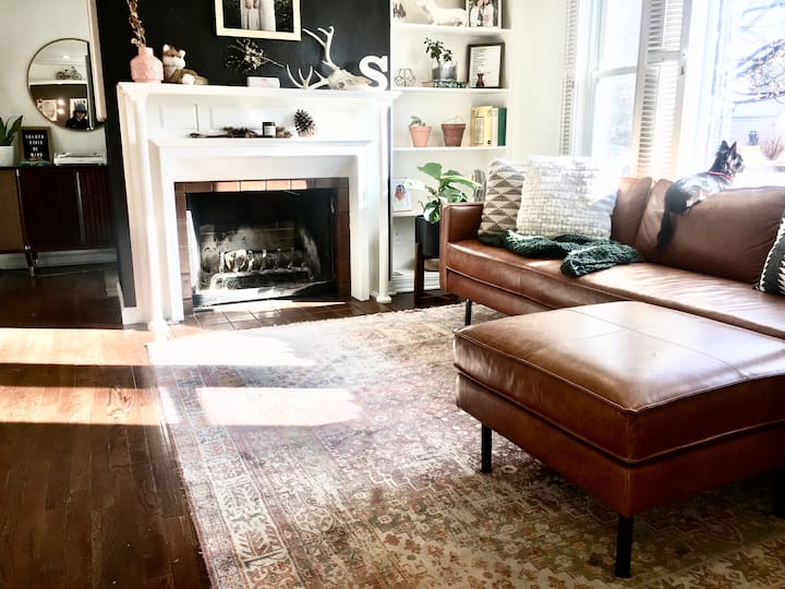 Top 10 PetFriendly Airbnbs In Springfield, Missouri Updated 2024