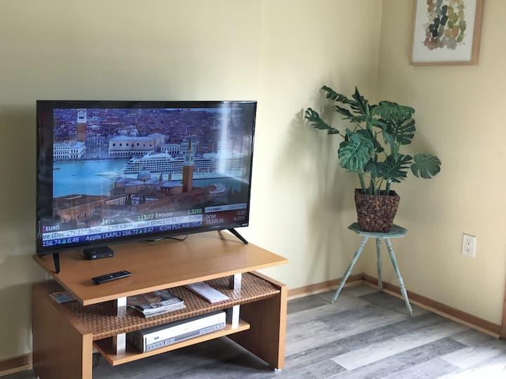 48-inčni TV! Jedan od dva televizora u apartmanu.