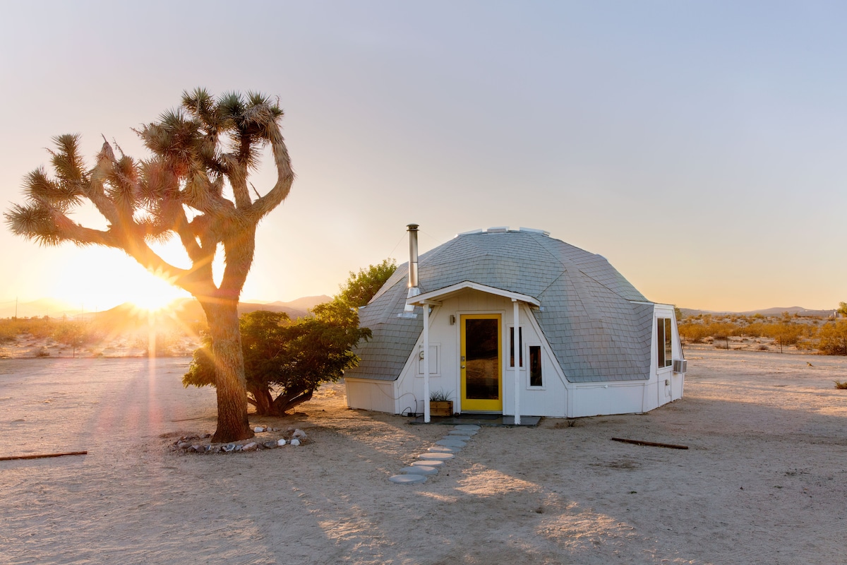 A modern dome structure sits in a desert landscape, framed by a prominent Joshua tree. The entrance features a bright yellow door, with a pathway leading to it. Soft sunlight illuminates the scene, highlighting the dome's distinct geometric design against a serene backdrop.