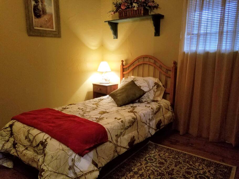 Downstairs bedroom