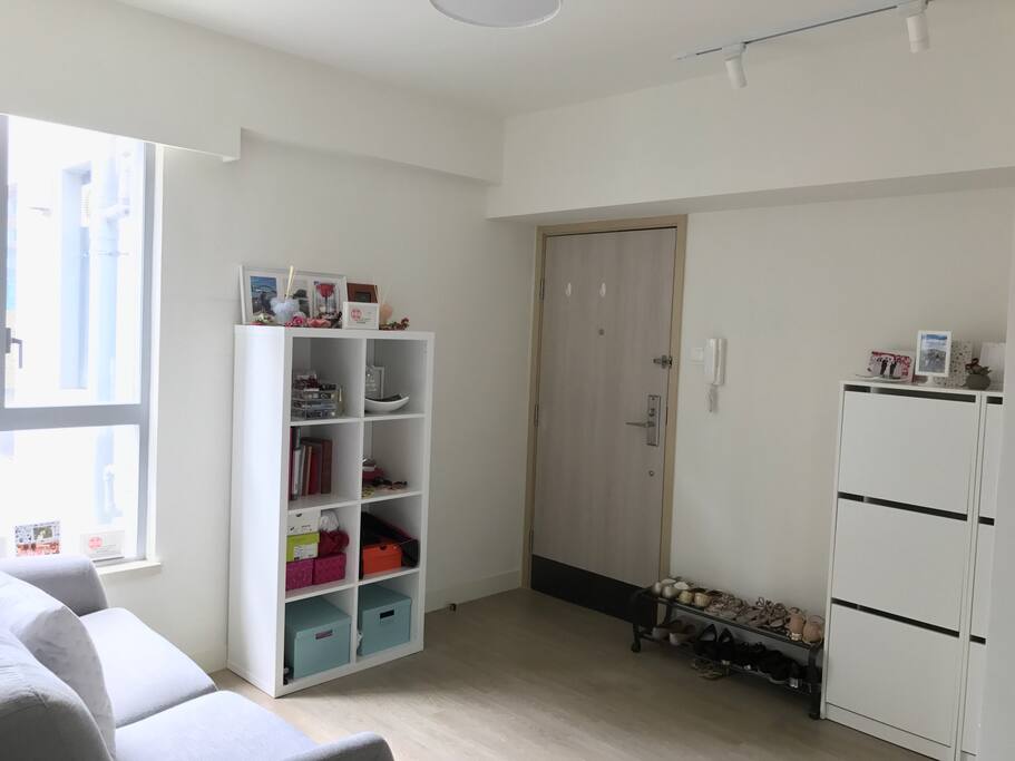 Living room and entrance