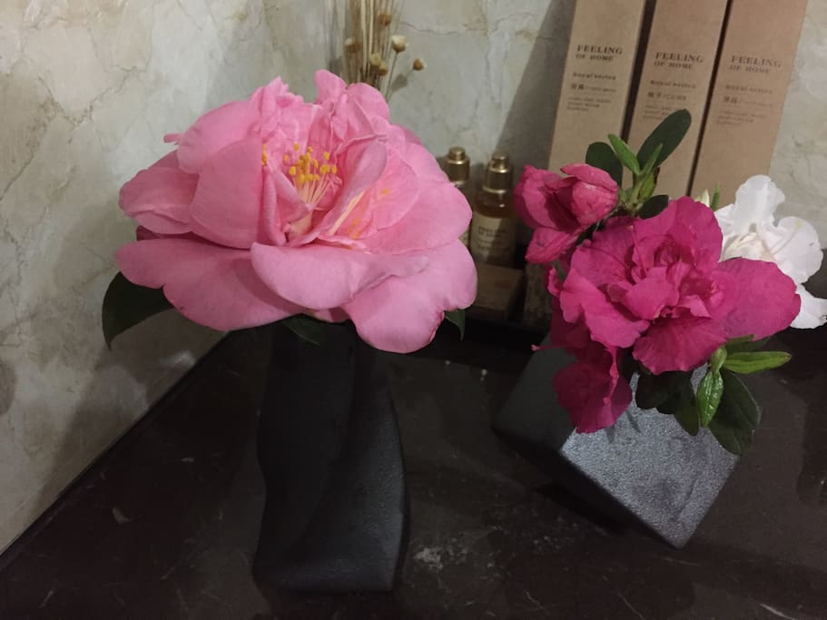 每周不同的鲜花点缀着房间~让爱花的你喜笑颜开……^_^
