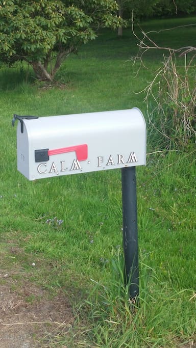Our mail box