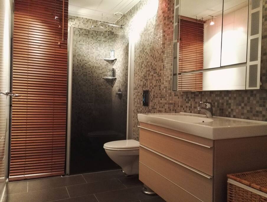 Bathroom is recently remodelled.