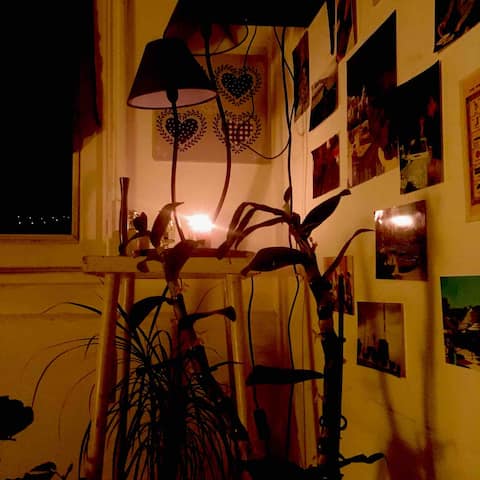 Petite chambre en ville sous les toits avec velux