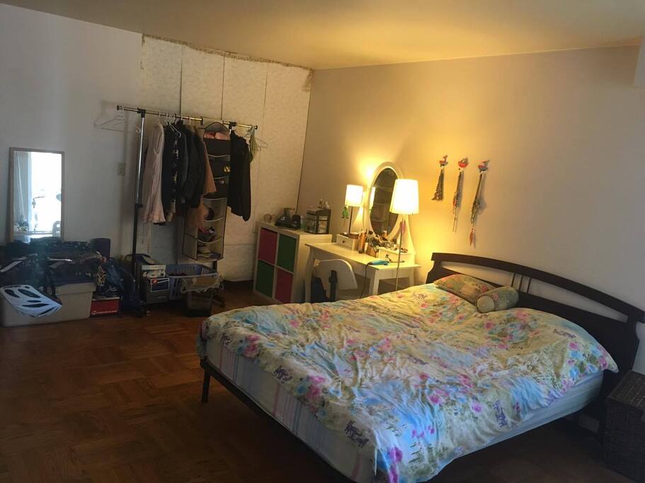 Spacious living room converted into bedroom. Queen size bed. Plenty of sunlight and lamps.