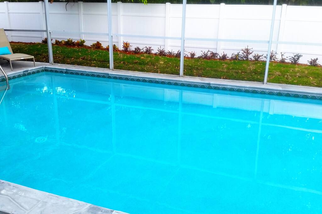 Dive in!