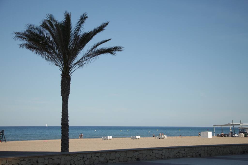 We are in the middle of a 10 km. beautiful beach named Muchavista